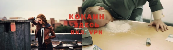 стафф Осинники