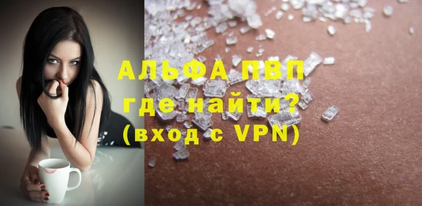 стафф Осинники